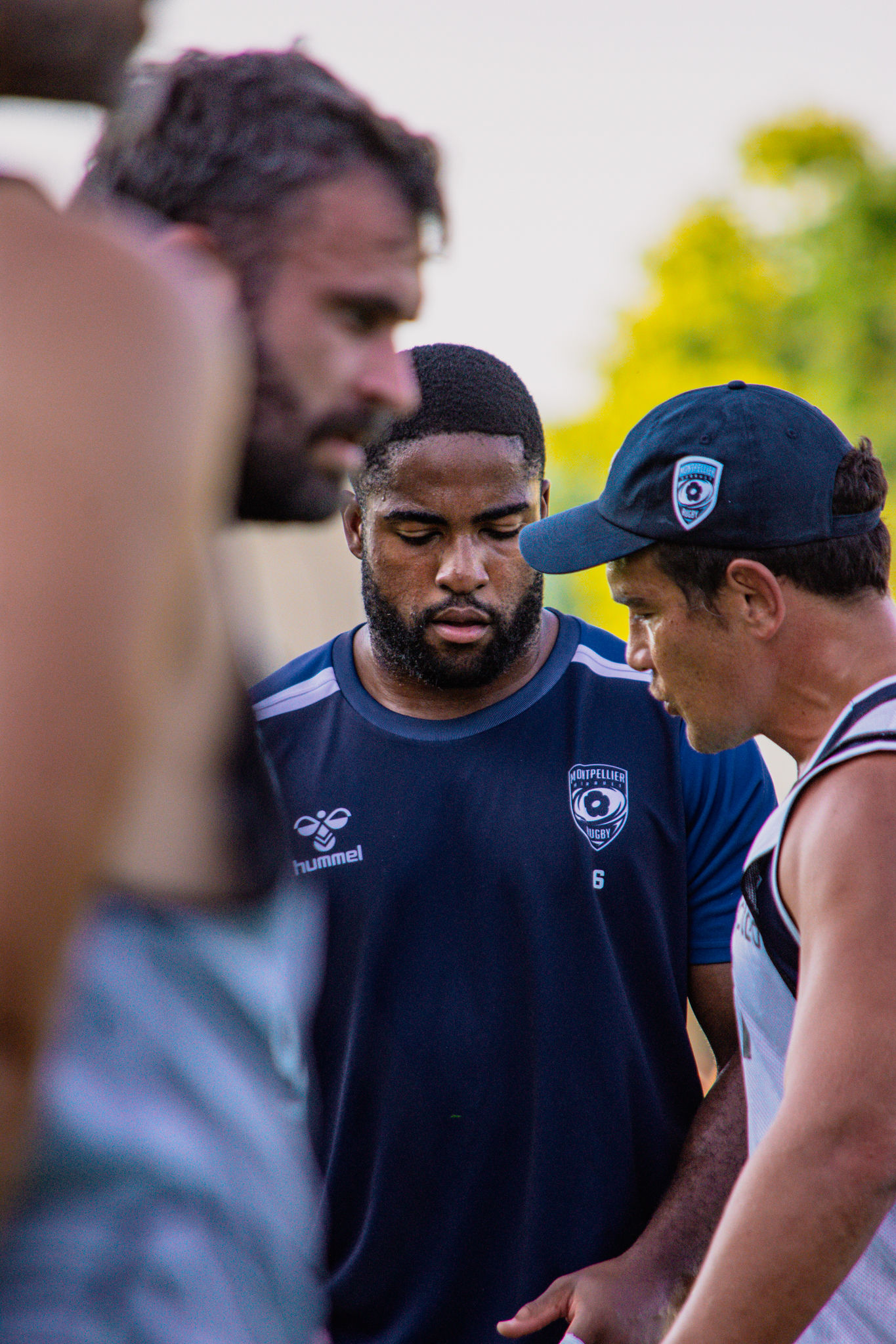 1411caf39b4a36104cde79fd1081b359