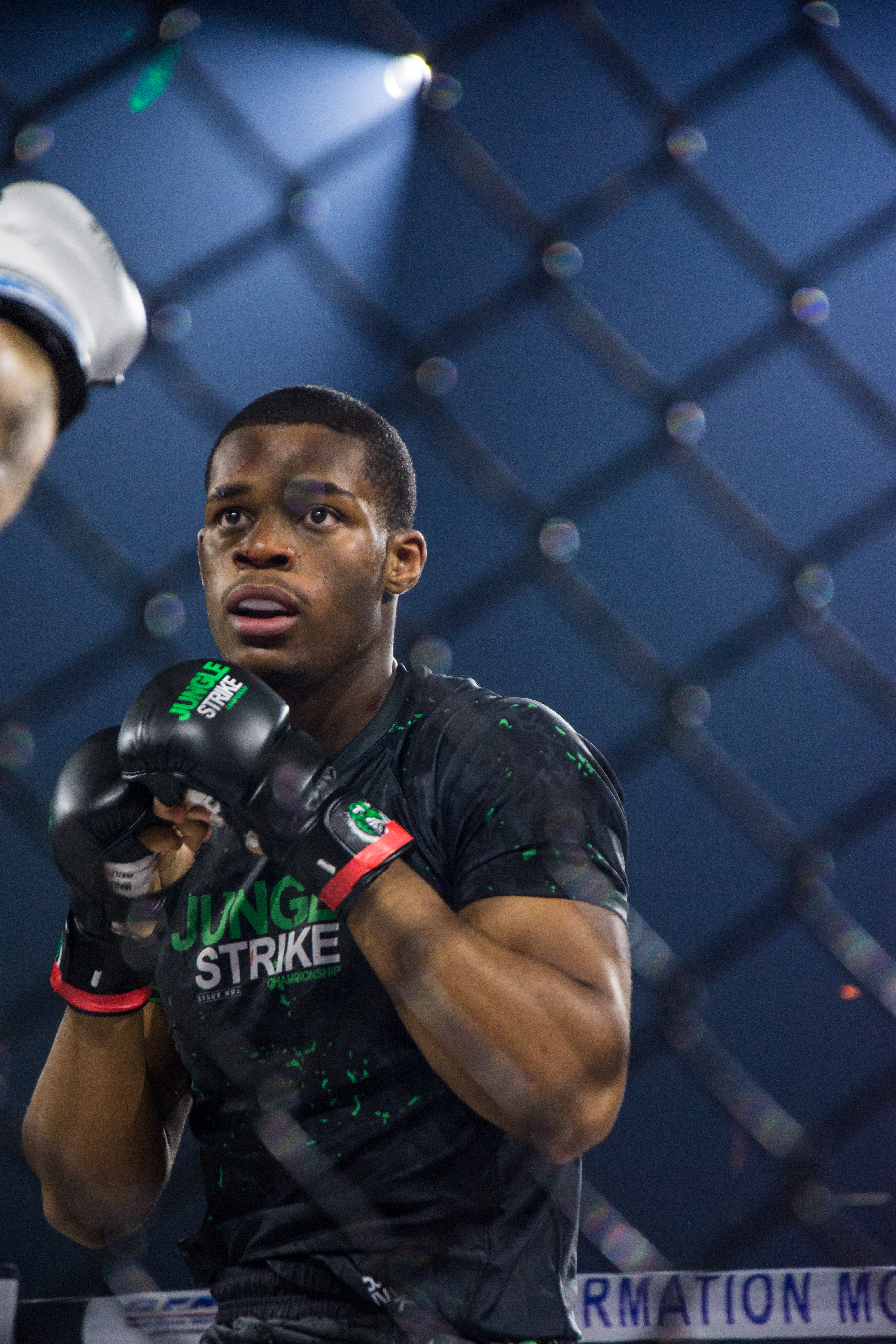 02cd45c9575771eff6983302b500ab36