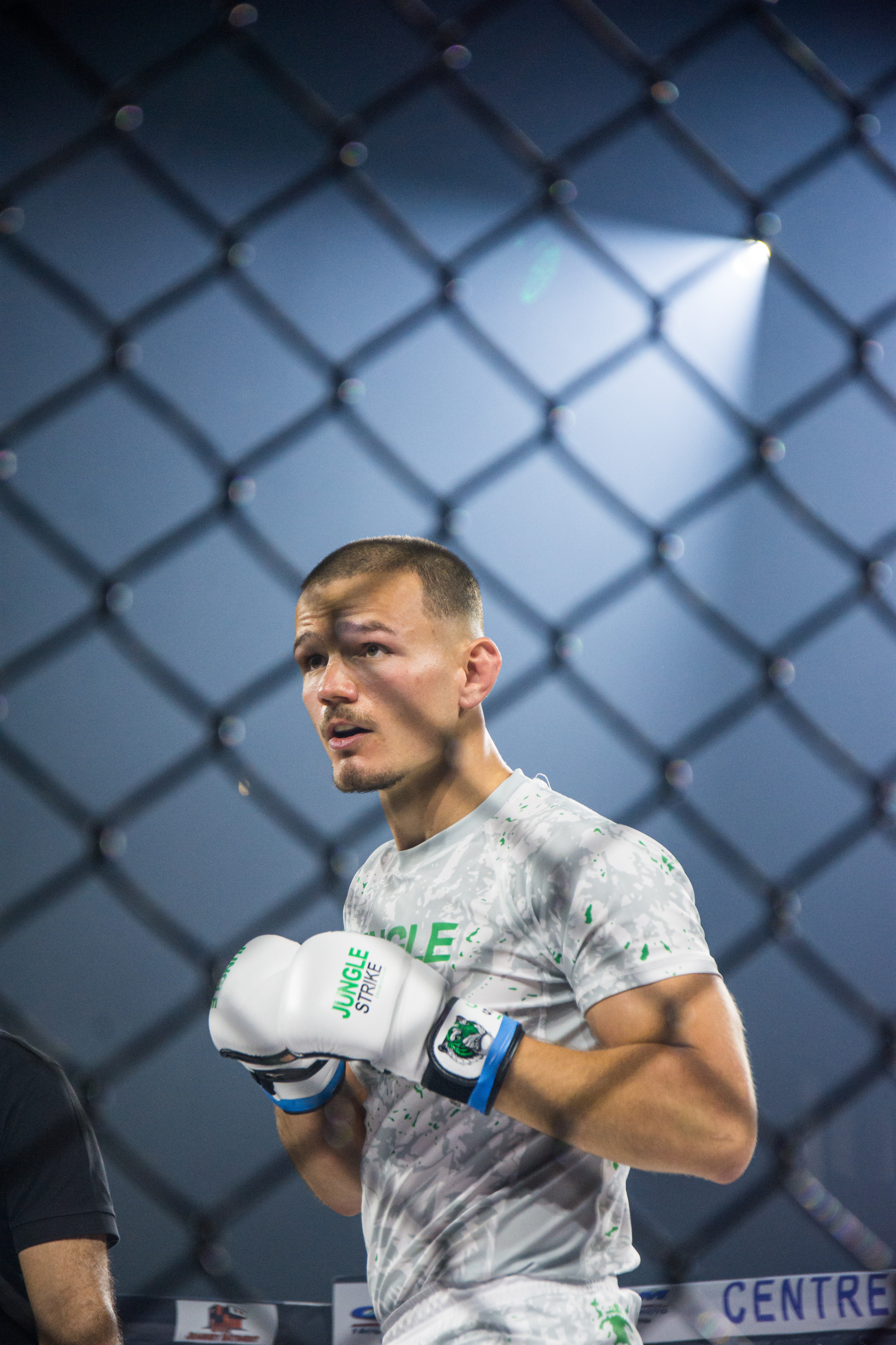 13ecaebcd69eae83fc4368fb062a655d