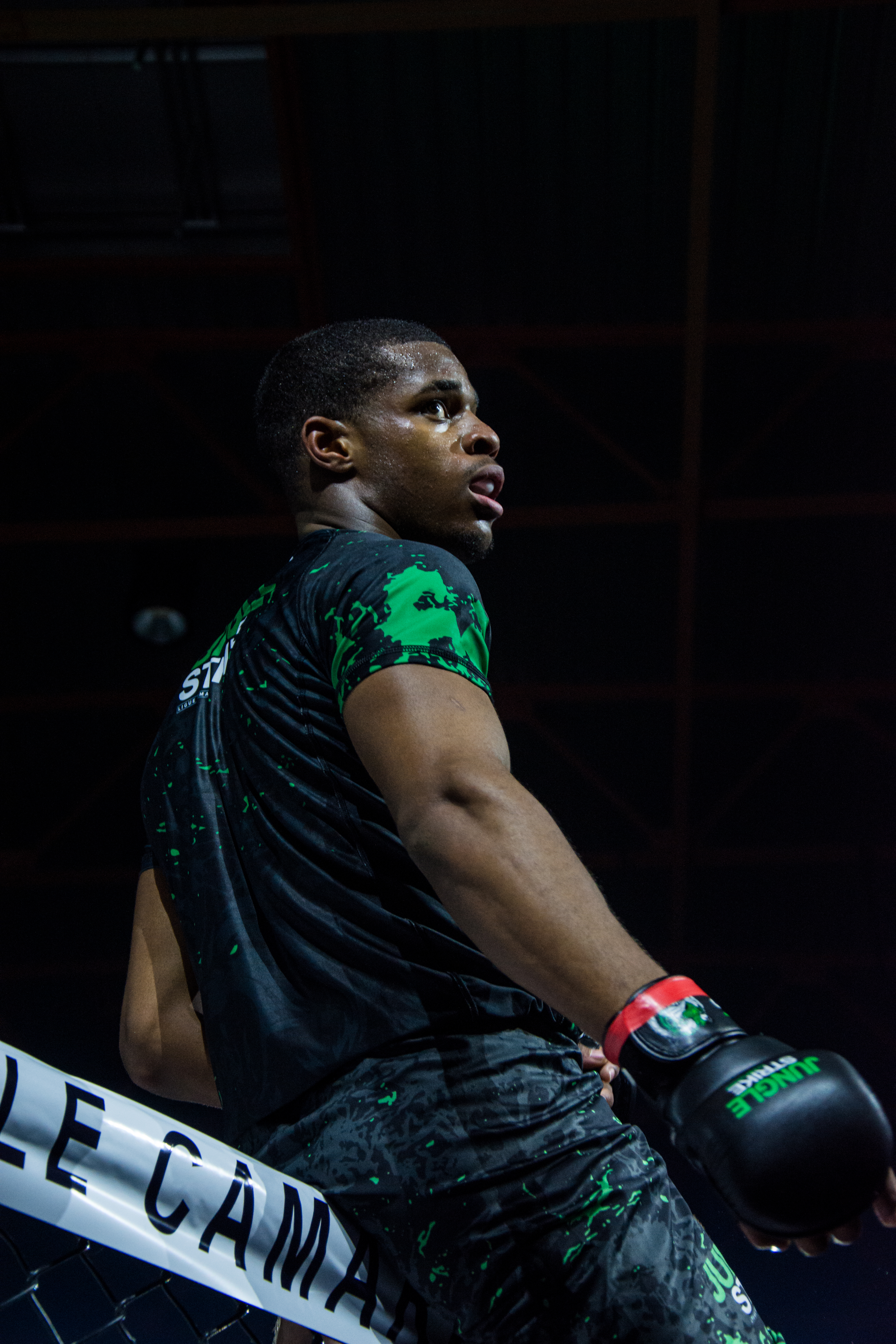 17a2fb4edc50ac0a3d2a92a20d4f1738