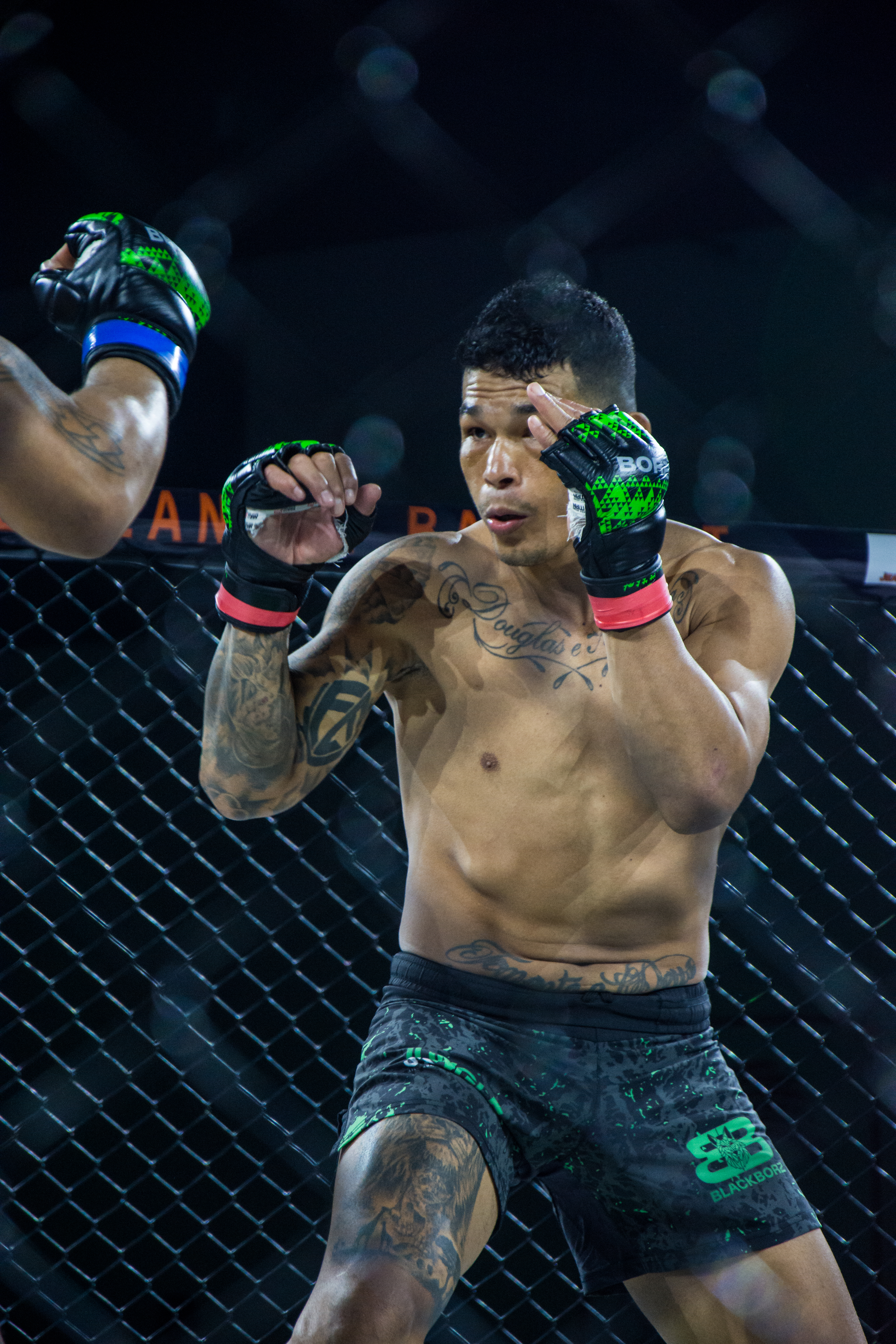 2459d00e08573cf0c1c454f229531005