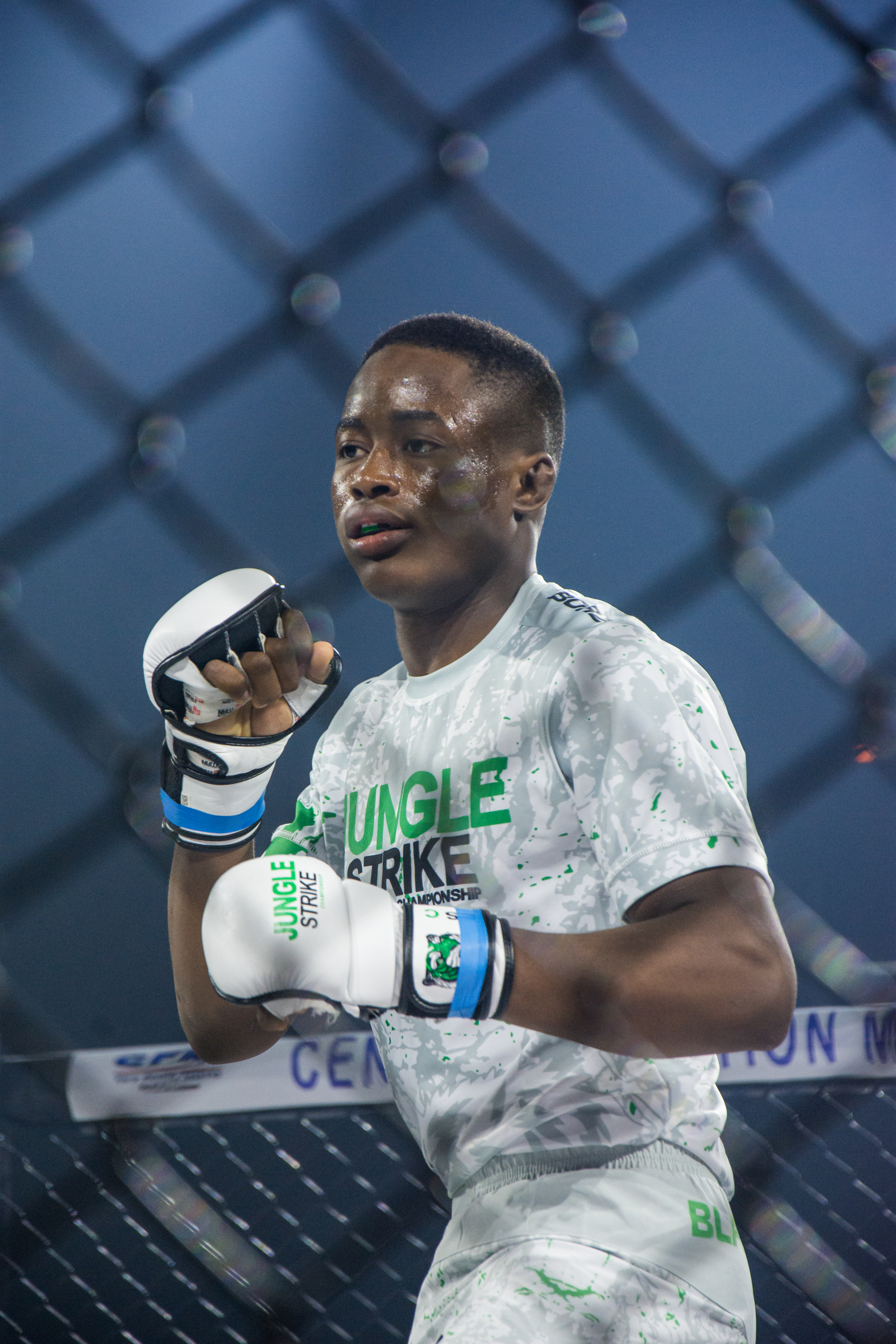 318cd3cb072f72c8dbe05b728186fbcc