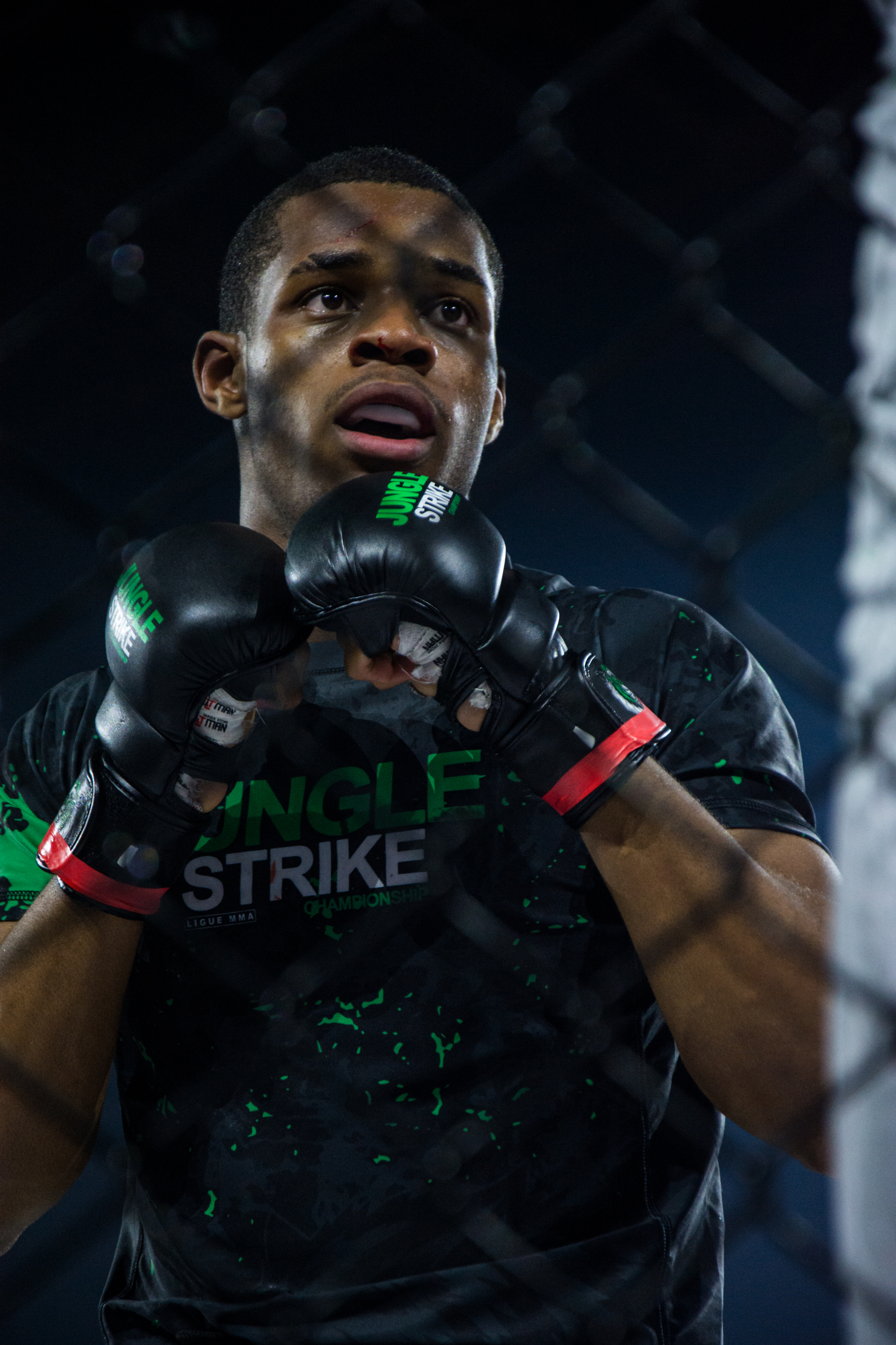 6dc9d8c5d96e4f2777ecbdbf6249745b