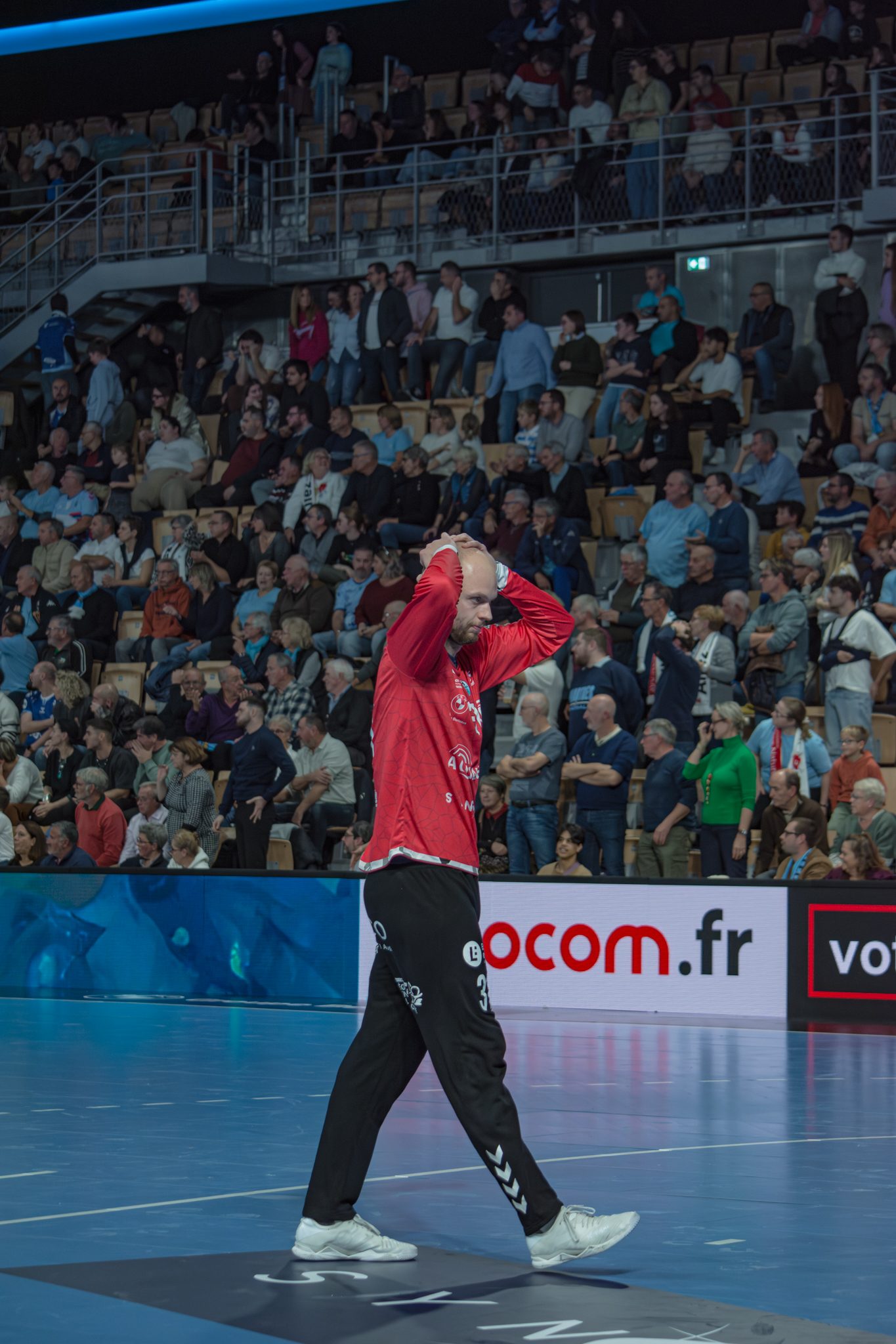 76e7321db9bfd0af193566949f54c438