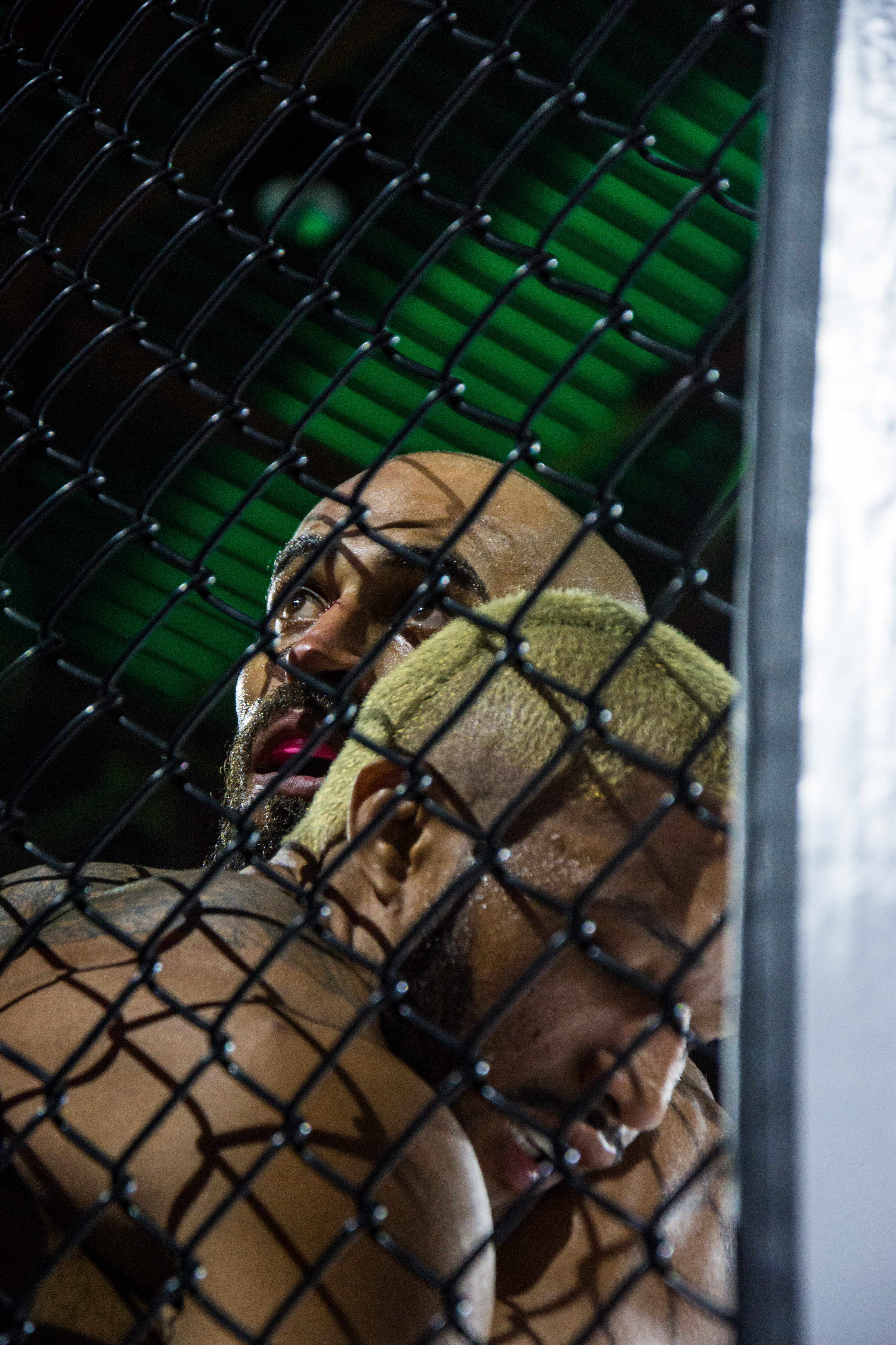 80bda969ddfea22301aefff7a955e484