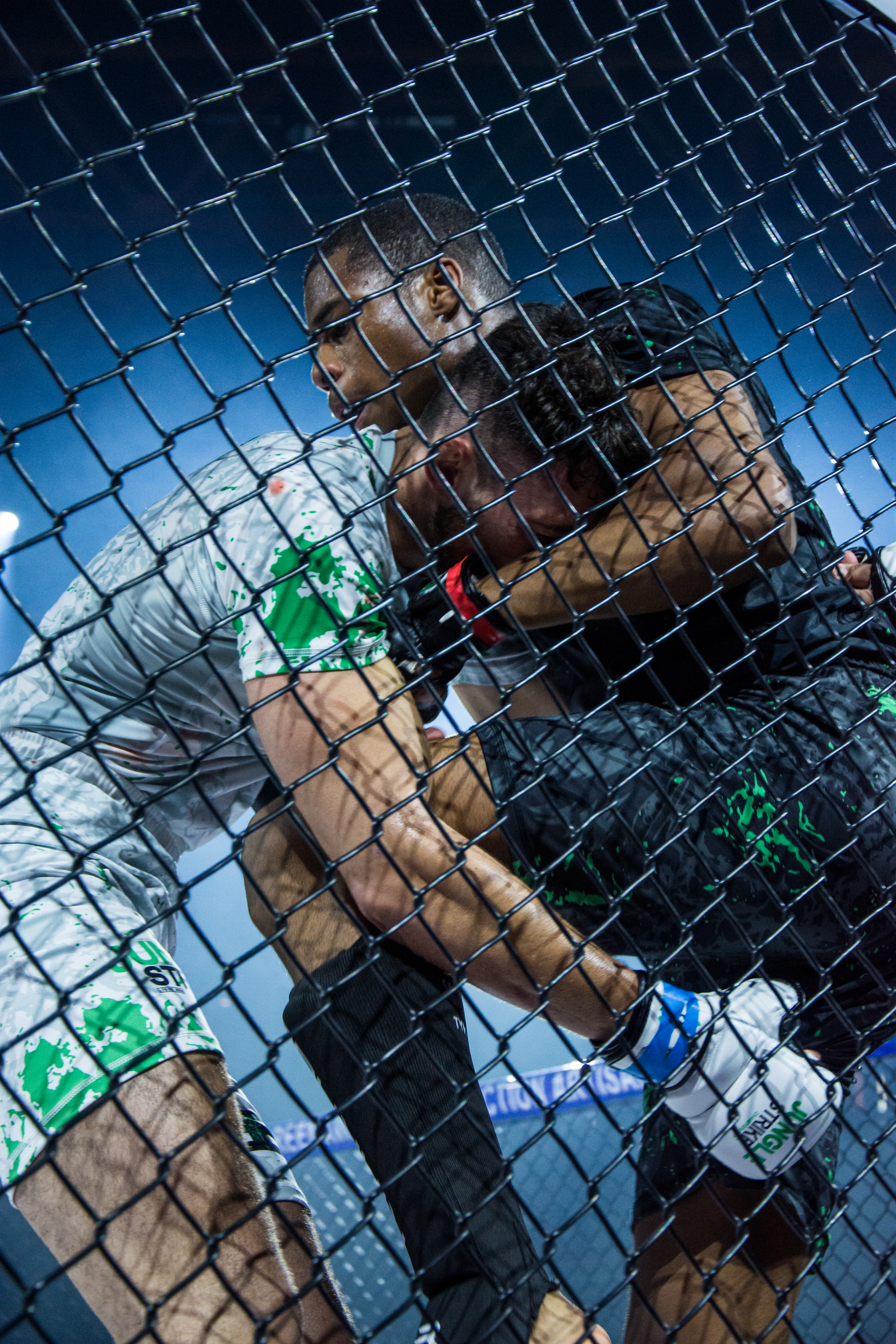 87f01e74f5192fda203671de79e038de