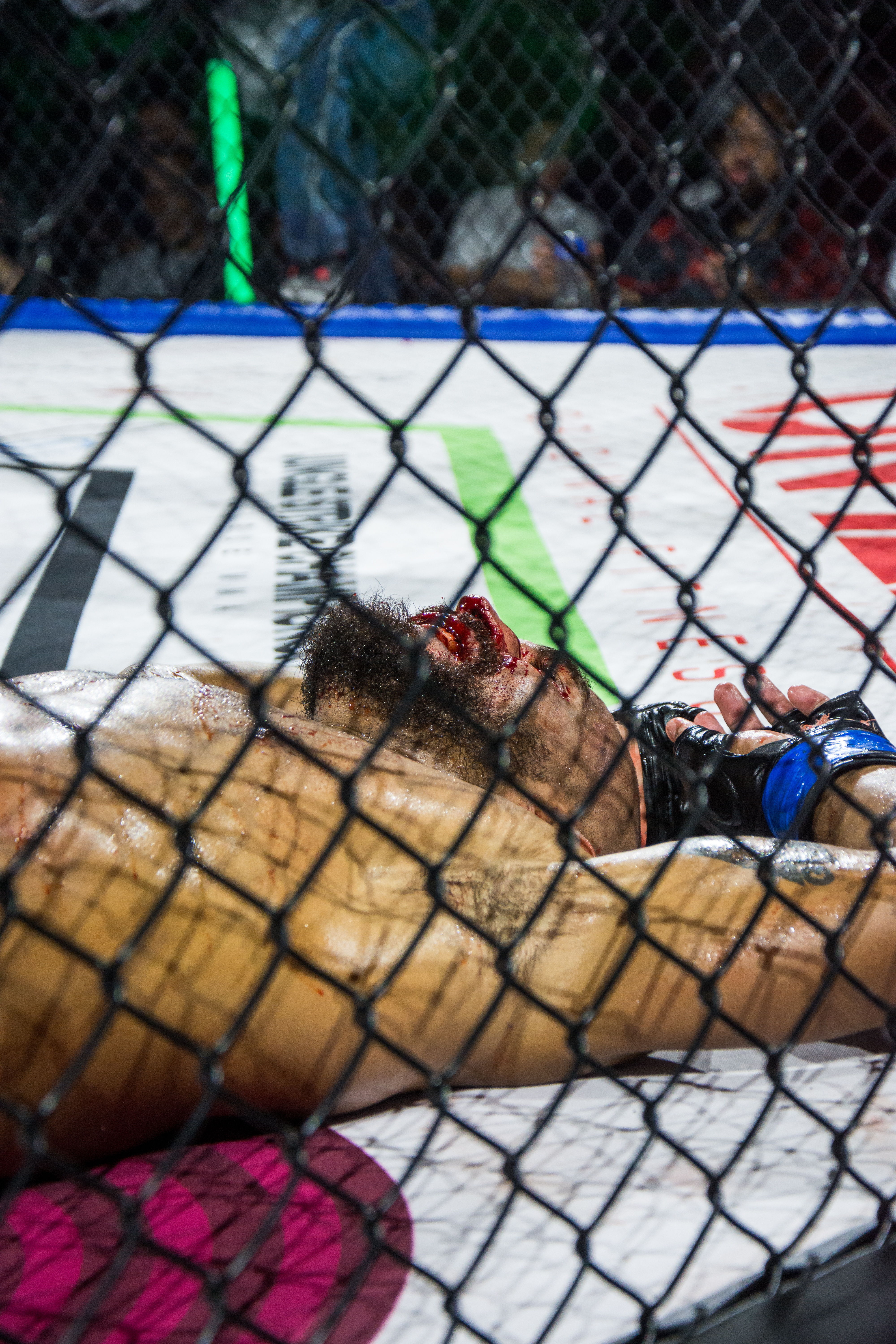 95530fbc1c9c17a4a5726c9eab84af18