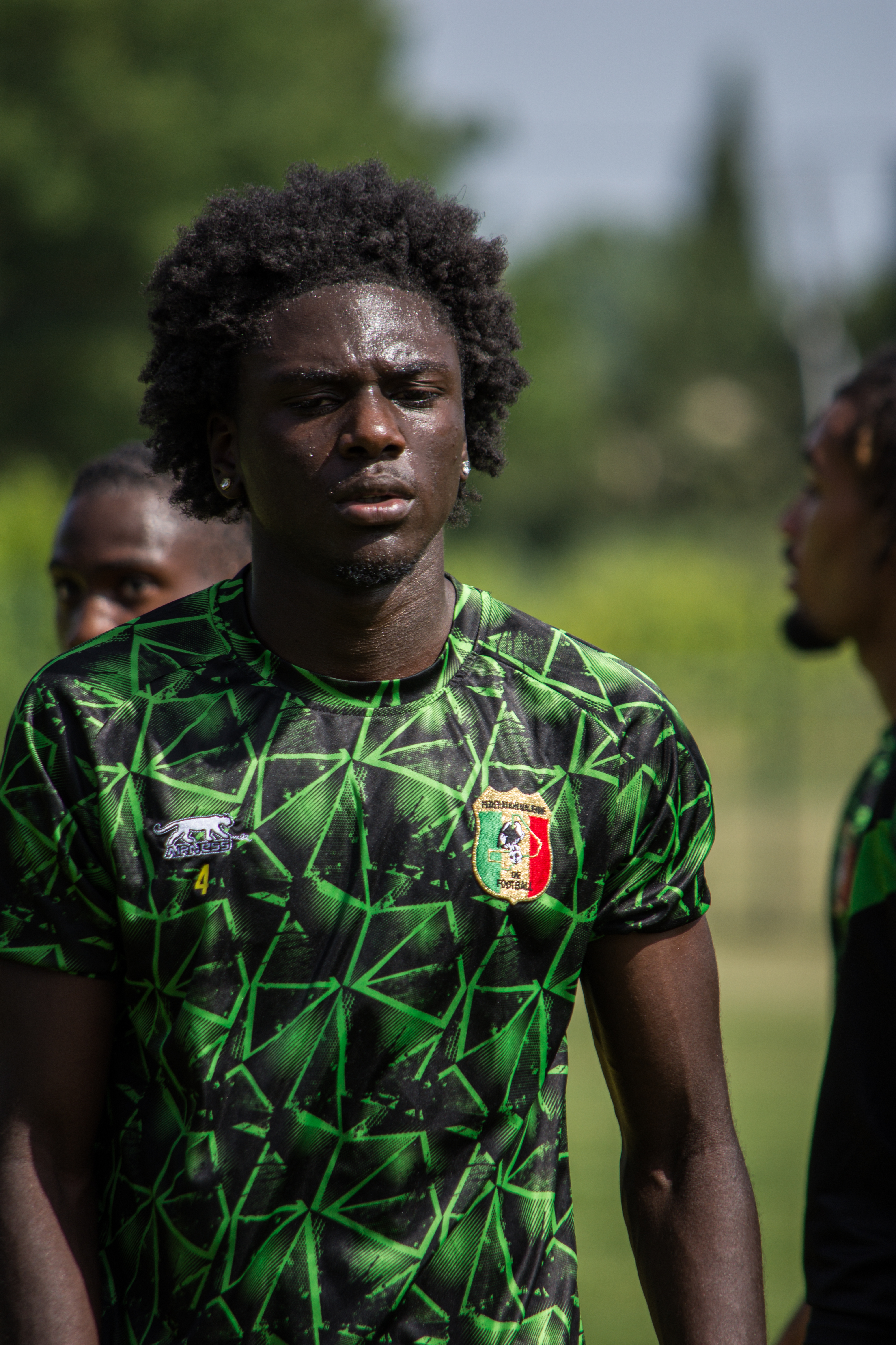 a9def78b47ffb3ddb81a1893a232a55c