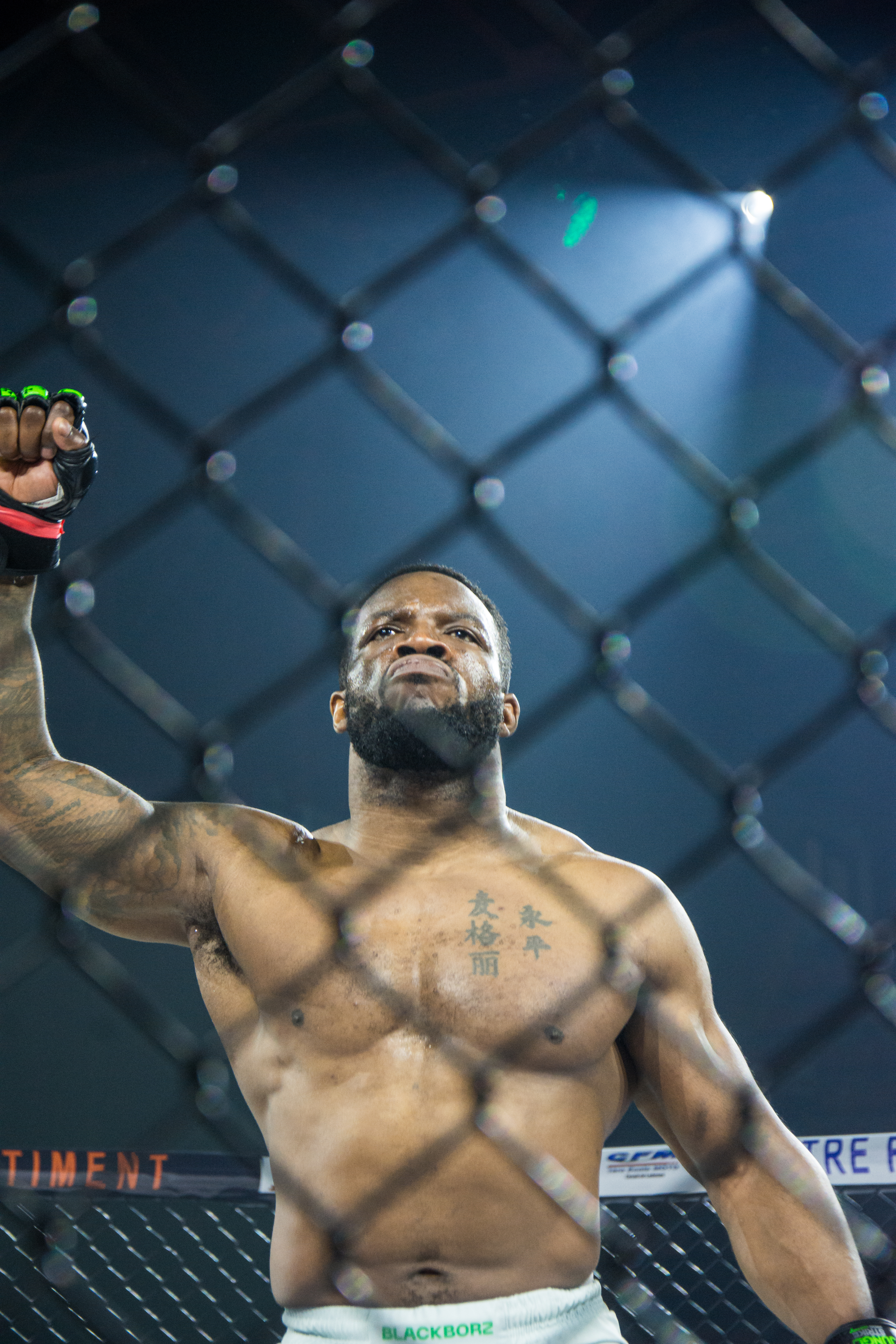 cf2037b1c29ed81753bc74a72bef9b04