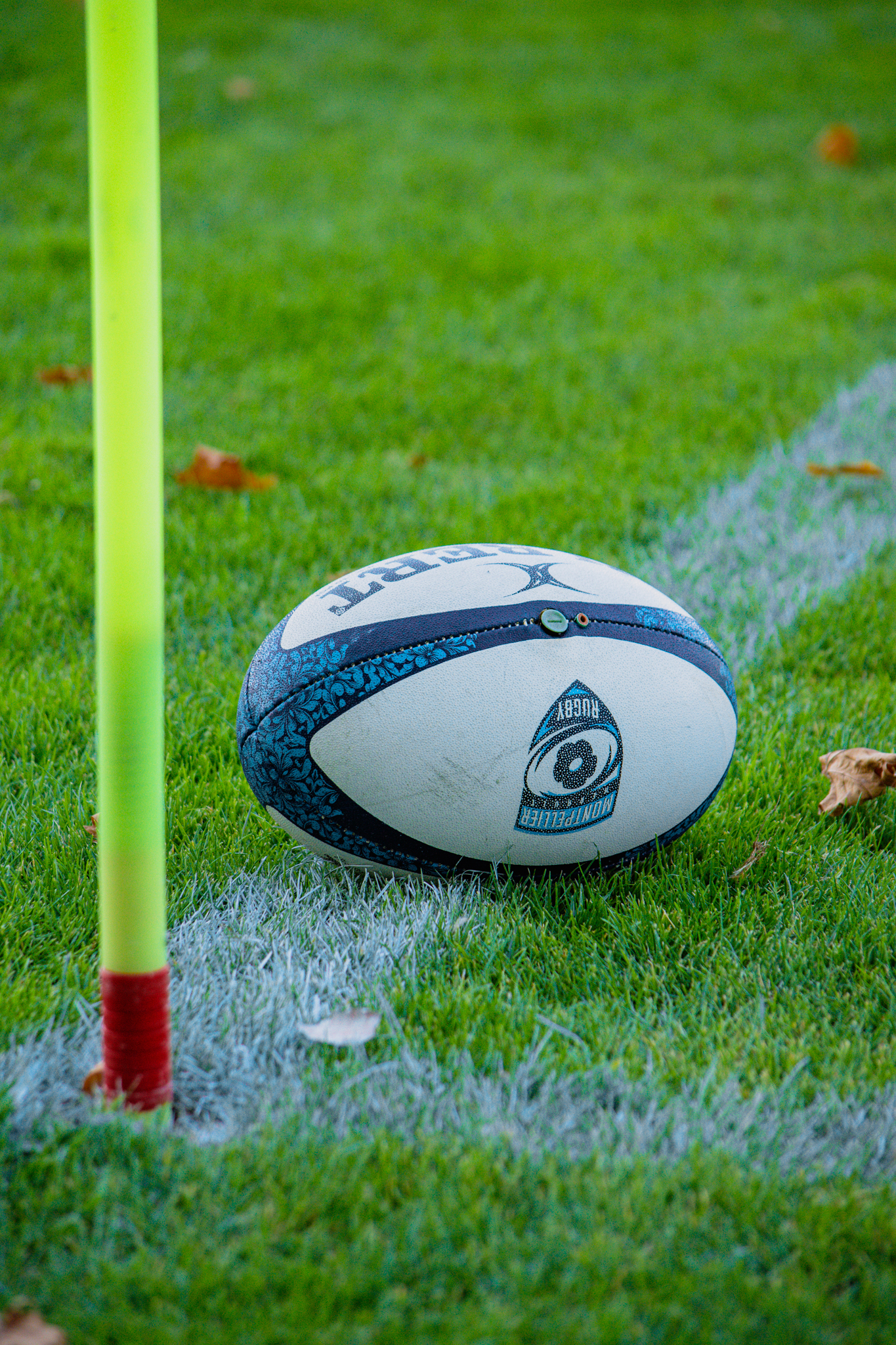 e2f384649a7497f19f8d74ab20f4e6e8